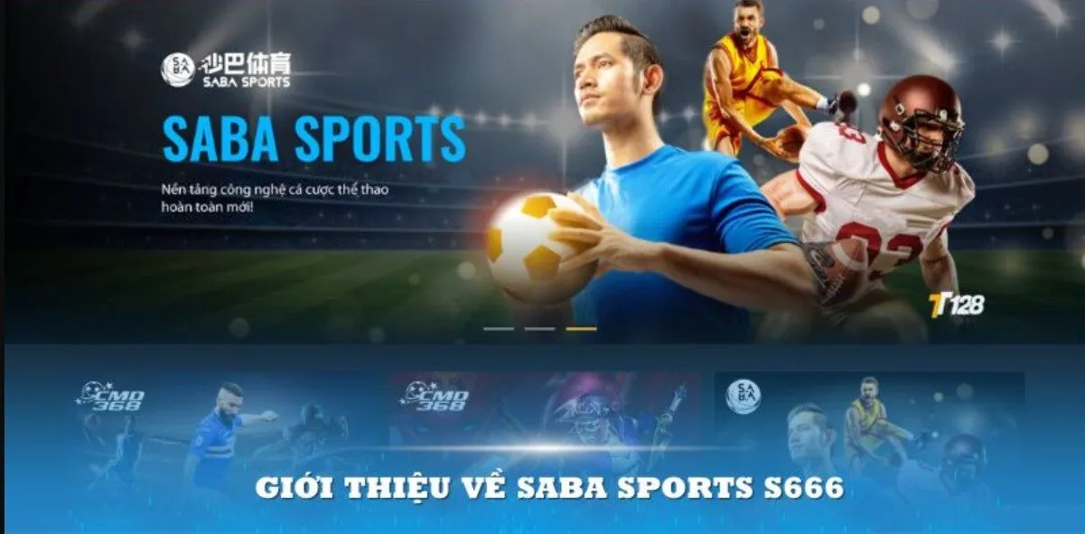 Giới thiệu tổng quan về Saba Sports S666
